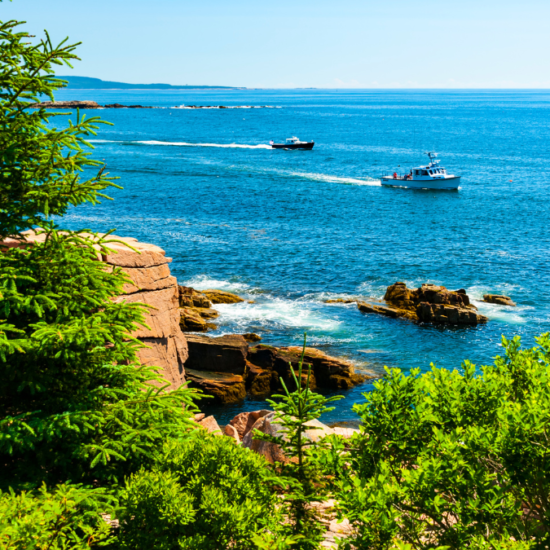 Best Time to Visit Acadia National Park