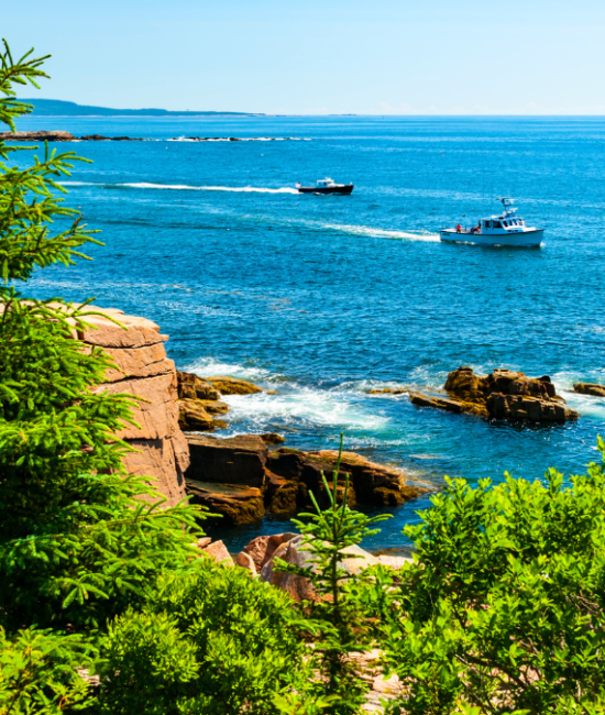 Best Time to Visit Acadia National Park