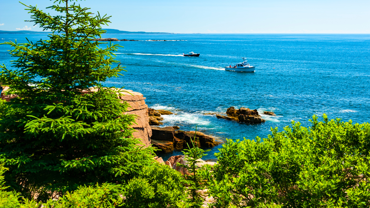 Best Time to Visit Acadia National Park